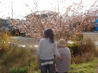 桜の前で